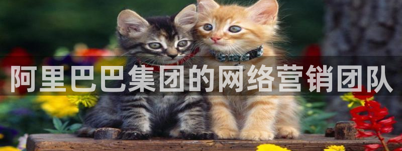 必赢网址