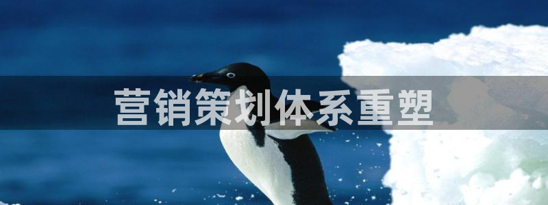 必赢手机app下载抢红包