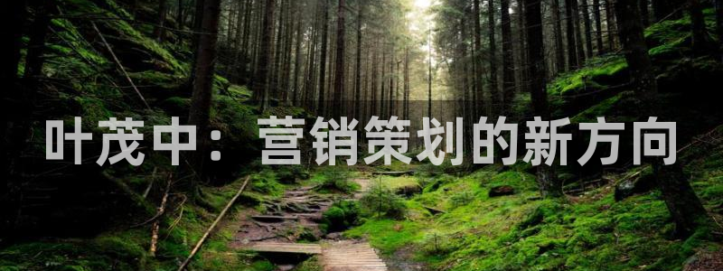 必赢国际怎么样