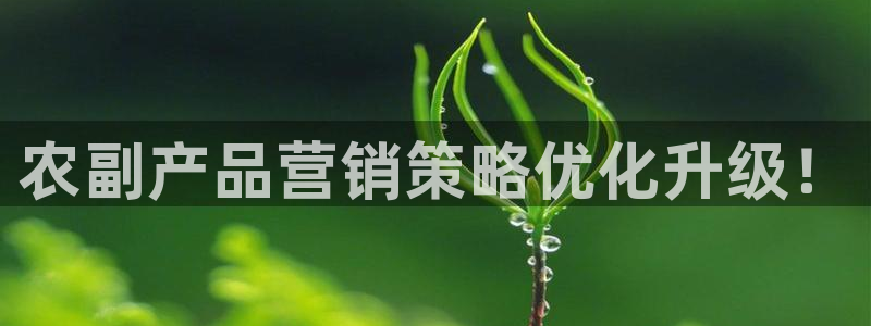 必赢手机app下载