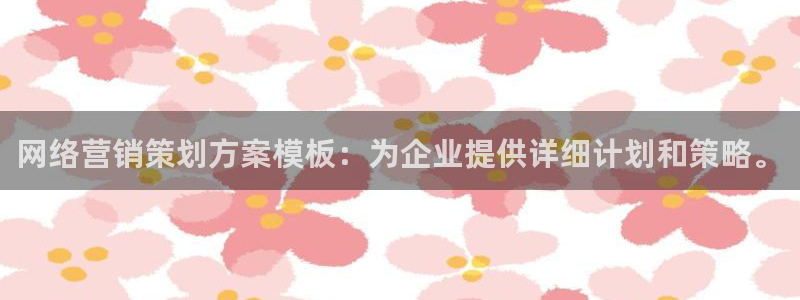 必赢公司是怎样的一家企业