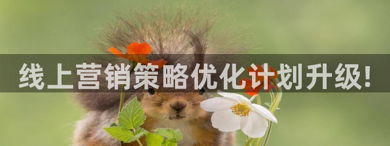 必赢手机app下载安装官网