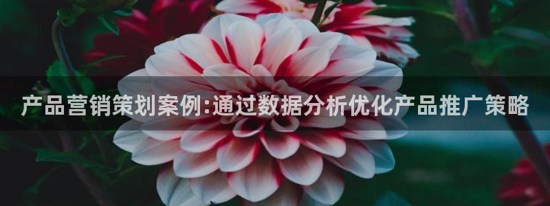 必赢最新