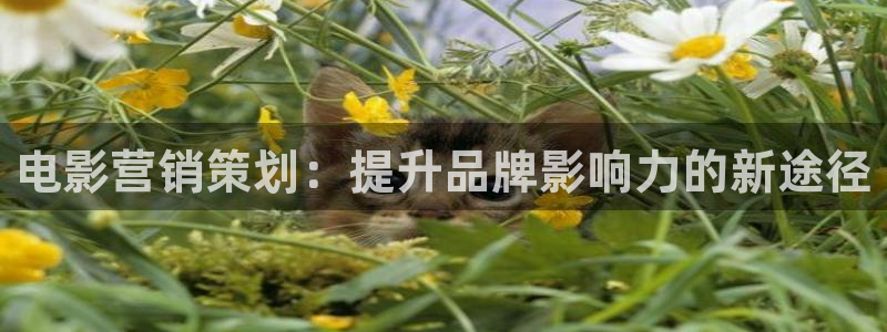 必赢3003必赢贵族宾会