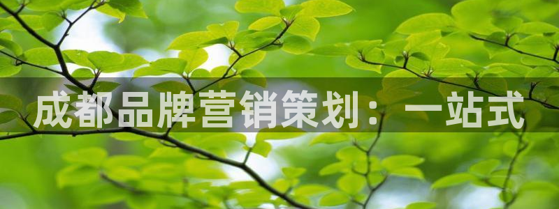 必赢官网app下载苹果手机