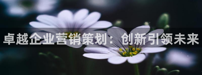 必赢线上网址是多少