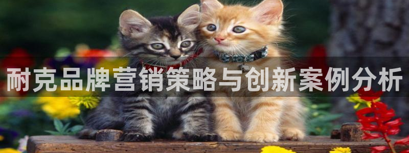 必赢亚赢网站官网下载