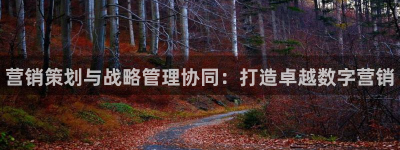必赢网站是哪一个公司的