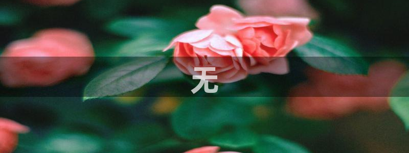 必赢棋盘官网版