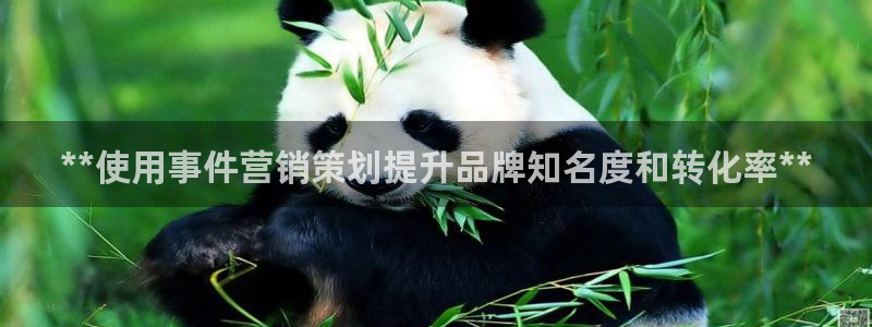 必赢565net官网网站