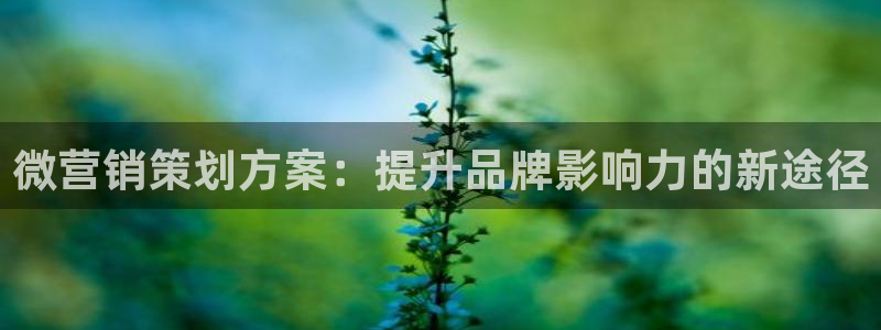 必赢线上网址是什么