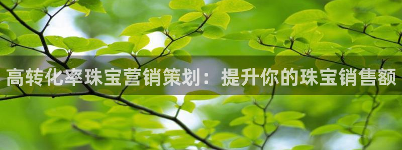 必赢这个软件怎么样啊