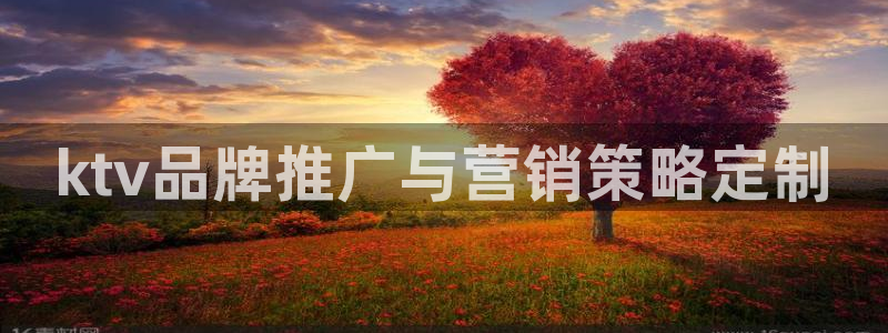 必赢72882网址