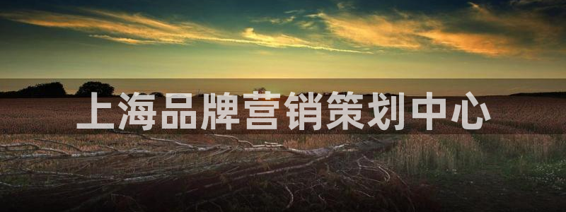 必赢网站是哪一个平台