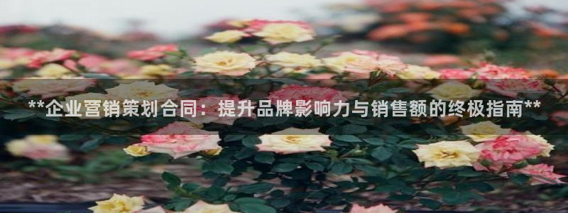 必赢棋盘app下载官网
