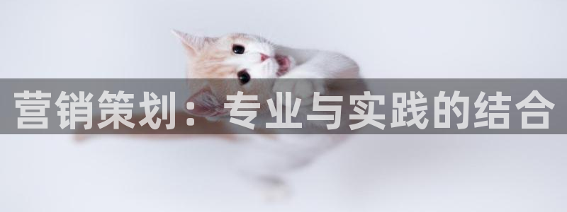 必赢科技有限公司
