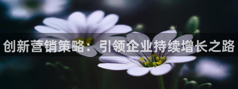 必赢官网下载