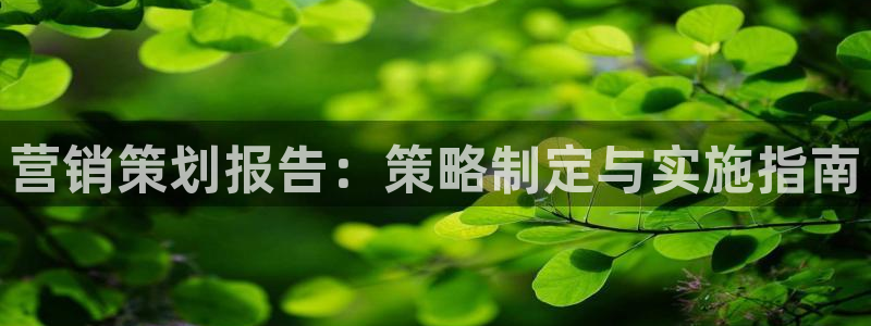 9965必赢游戏app大全