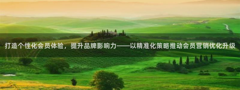 必赢国际的网站多少