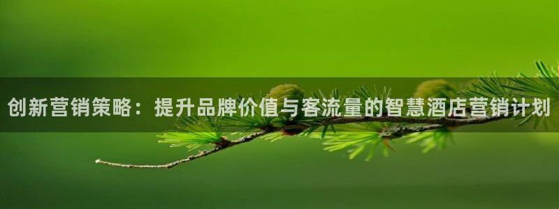 必赢公司是怎样的一家企业