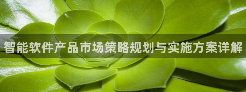 必赢国际437