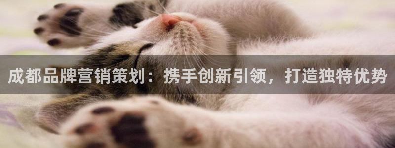 必赢网站平台登录