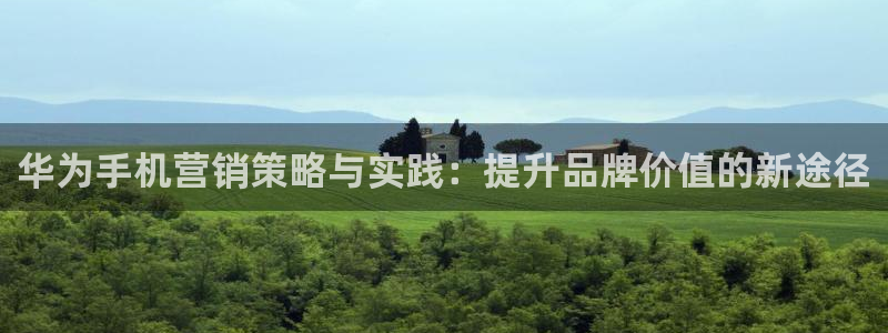 必赢官网网址多少号：华为手机营