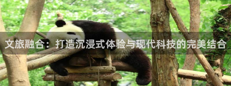 必赢棋盘app下载官网