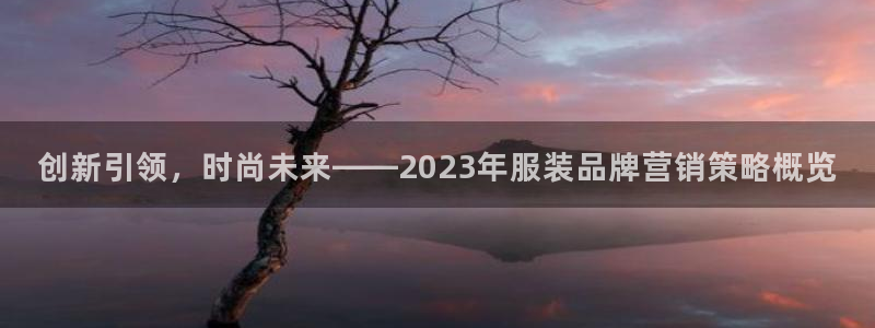 必赢最新：创新引领，时尚未来—