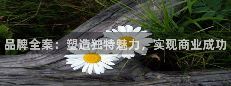 必赢下载安卓版最新版