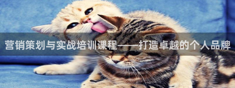 必赢手机版