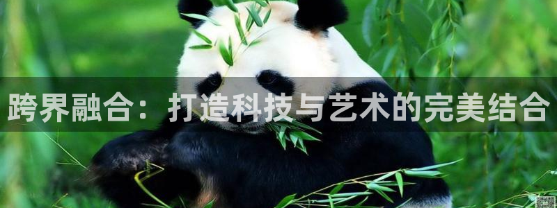 数三十游戏必赢技巧