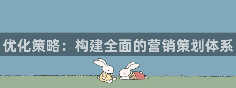 必赢qp：优化策略：构建全面的