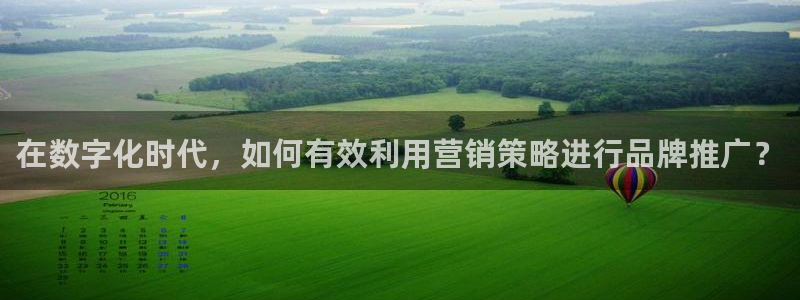 必赢3003+会员账号