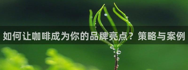 必赢线上网址是什么