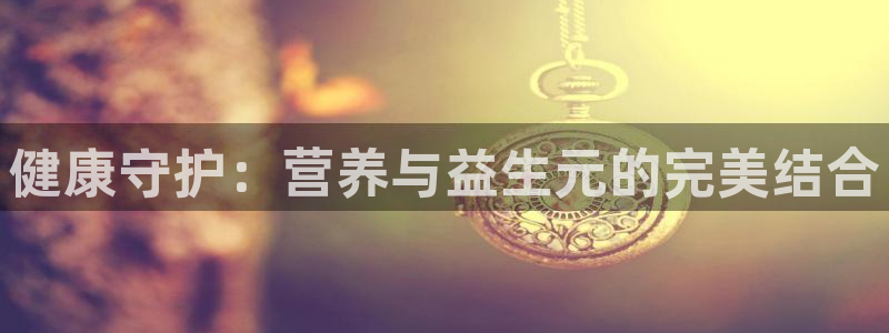 必赢网站有哪些