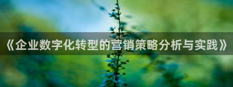 必赢官网app下载苹果手机