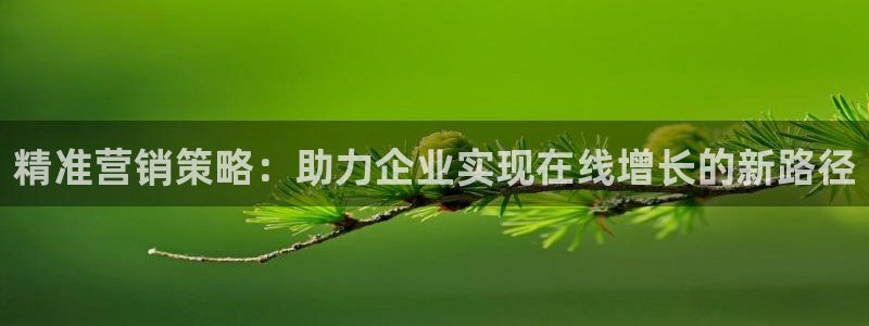 必赢官网网址多少号登录